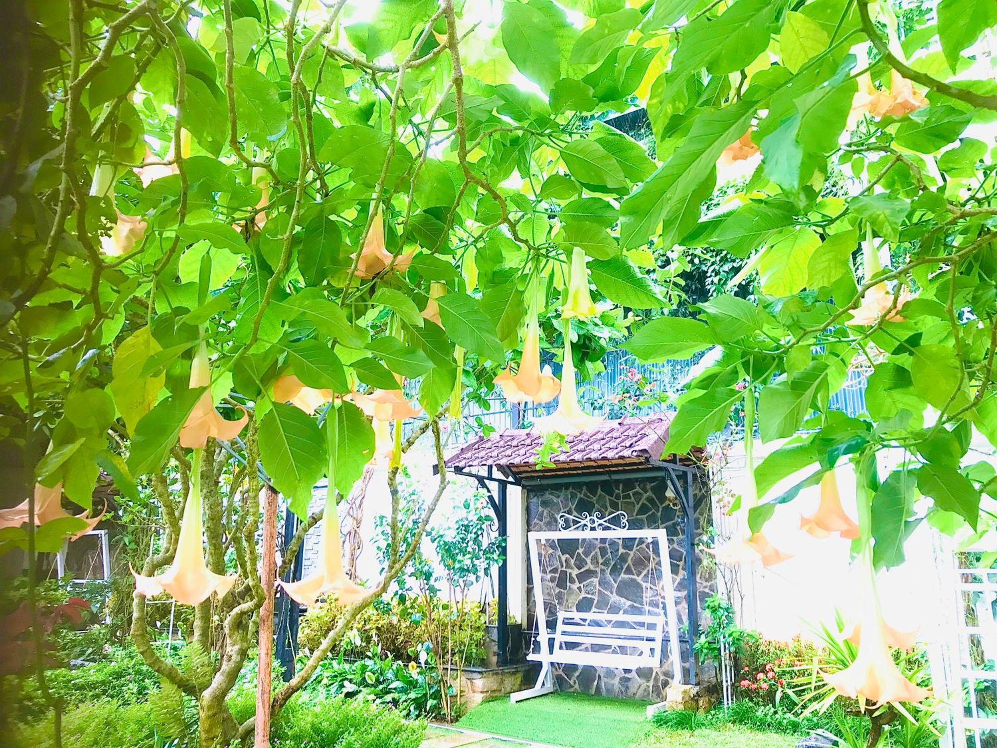 Hotel Hoa NáNg Bao Loc Exterior foto